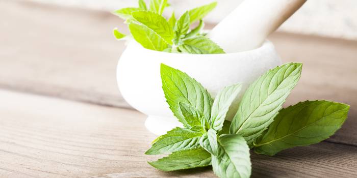 “A sua designação em Latim é Mentha x piperita. Planta herbácea vivaz, cultivada na Europa Ásia e América do Norte por via vegetativa, por ser um híbrido estável e infecundo. Pertence à família das Lamiáceas (Labiadas). Utilizam-se as folhas e o óleo essencial. Estes são constituídos por óleo essencial, flavonóides, taninos, triterpenos, resinas, ácidos fenólicos […]
