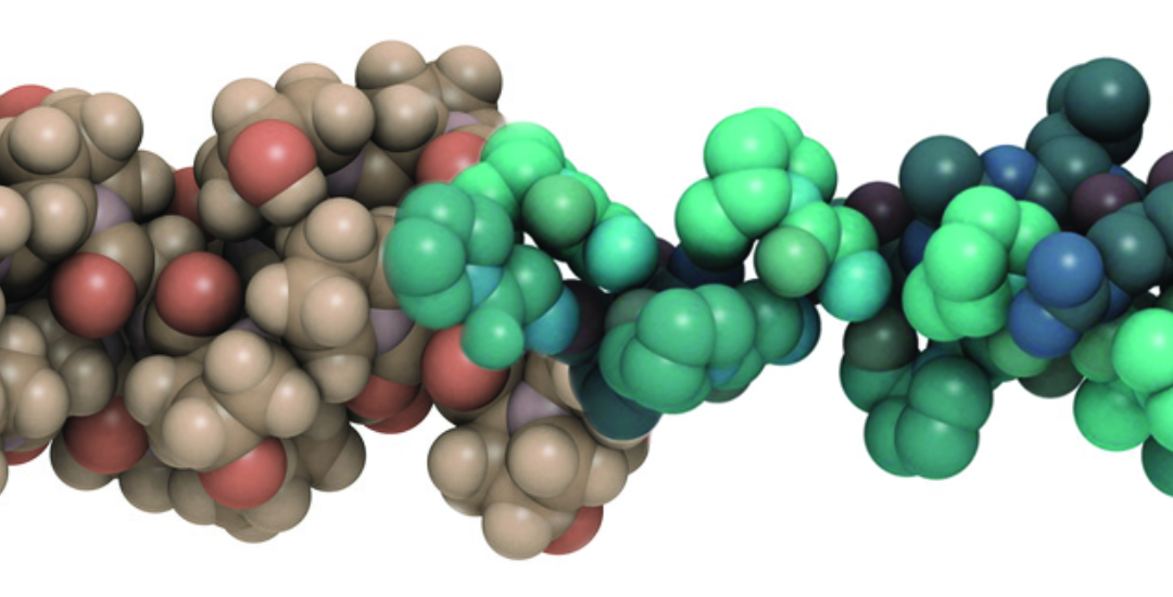 Protein expression. Proteinele. Proteine. Aminoacizii. Acizi.